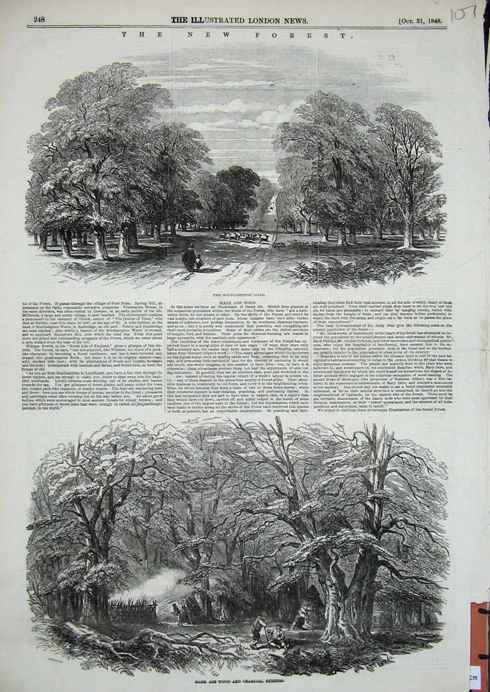 Original Old Antique Print 1848 Southampton Road New Forest Mark Ash Trees Wood
