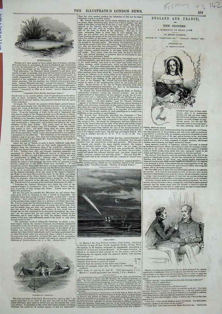 Original Old Antique Print Fishing Whitebait Men Boat River Comet Men Alice