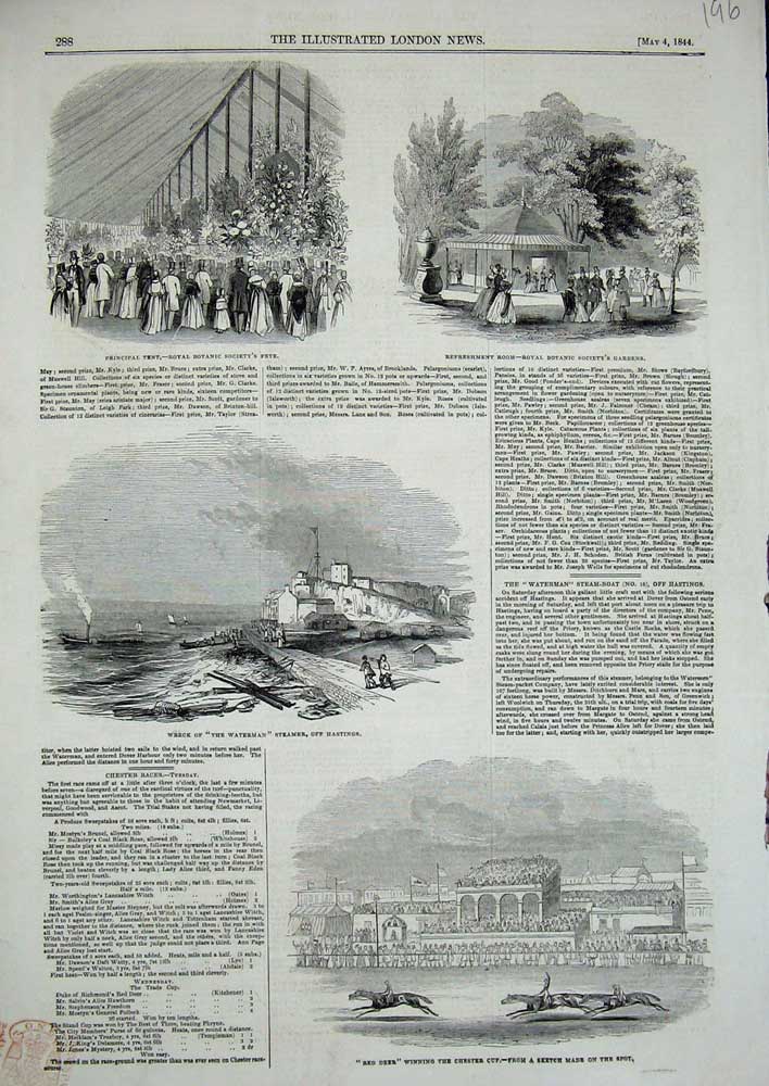 Old Antique Print 1844 Botanical Society Ship Wreck Waterman Horse Sport 19th