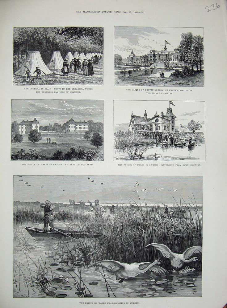 Old Antique Print 1885 Prince Wales Swan Shooting Sweden Ekolsund Castle 19th