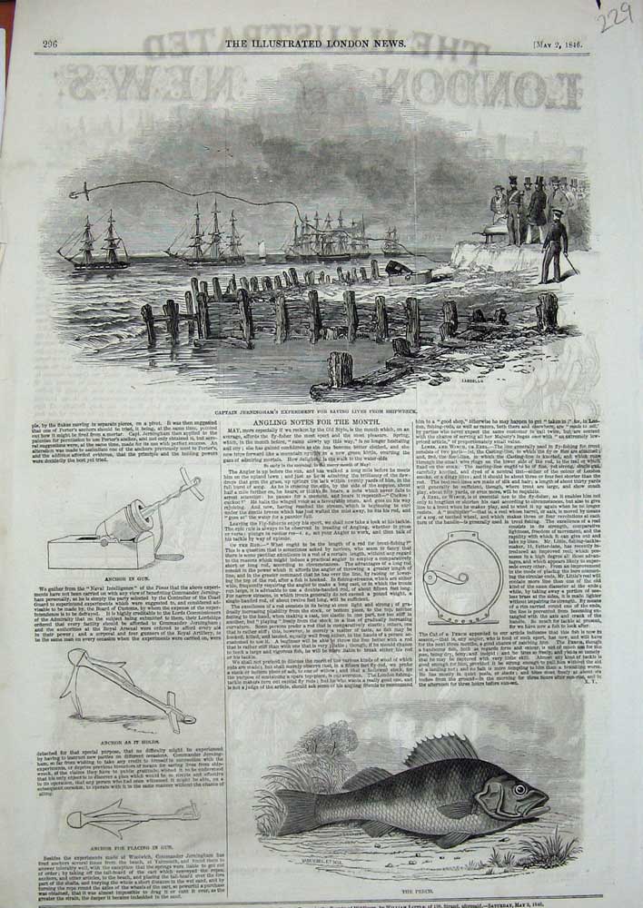 Original Old Antique Print 1846 Perch Fish Anchor Captain Jerningham Experiment