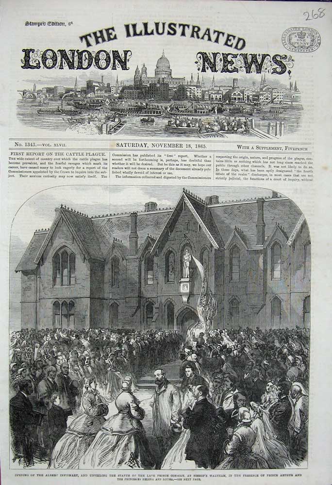 Original Old Antique Print 1865 Albert Hospital Statue Prince Consort Waltham