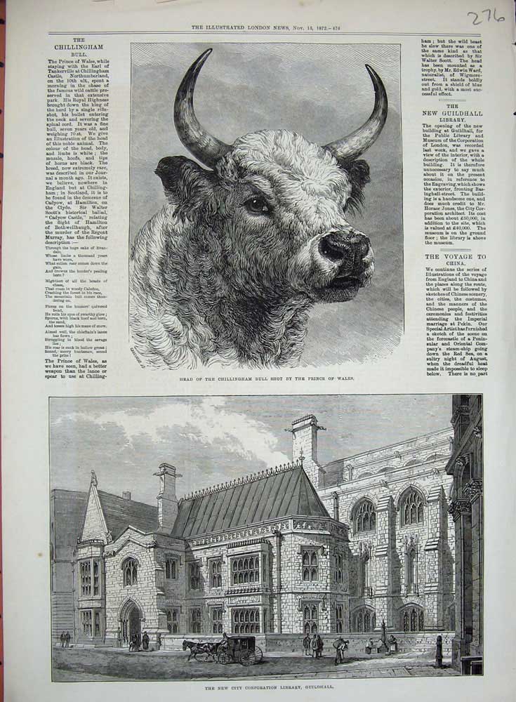 Original Old Antique Print 1872 Corporation Library Guildhall Chillingham Bull