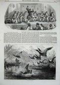 Old Antique Print 1858 Wild Fowl Bird Shooting Opera Troupe Oxford Street 19th