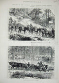 Old Antique Print Colorado America Mining Mules Logs Revenue Mines 1880 19th
