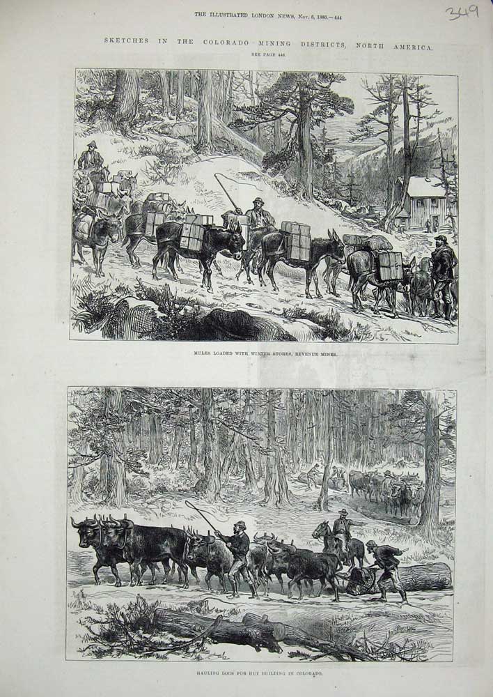Old Antique Print Colorado America Mining Mules Logs Revenue Mines 1880 19th