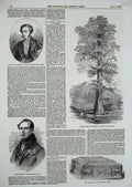 Original Old Antique Print 1854 Layard Box Baron Brunnow Earl Carnarvon Tree