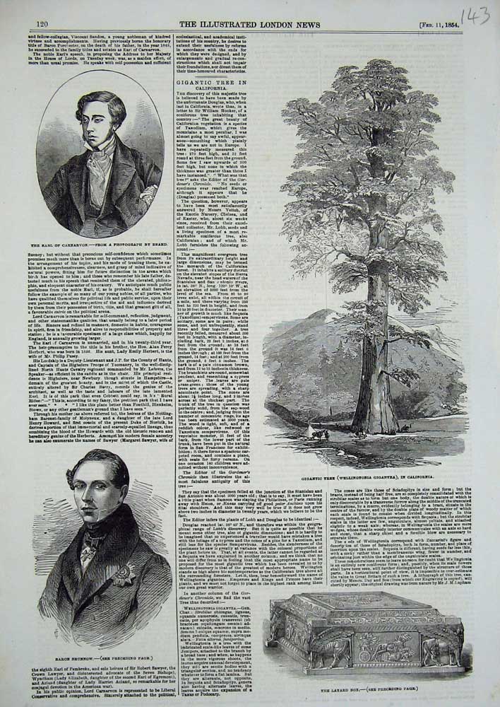 Original Old Antique Print 1854 Layard Box Baron Brunnow Earl Carnarvon Tree