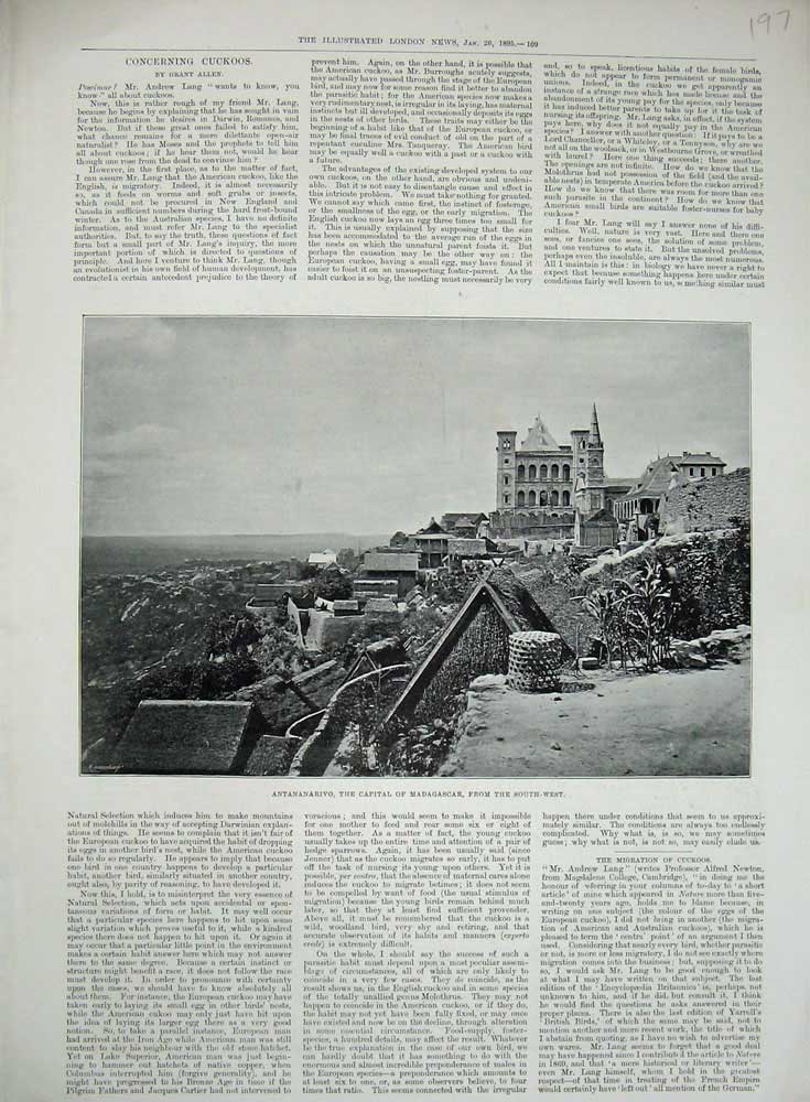Original Old Antique Print 1895 Antananarivo Capital Madagascar Photograph 19th