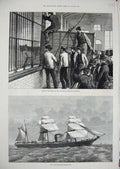 Original Old Antique Print 1876 Lions Zoological Gardens Screw Steamer Alfonso