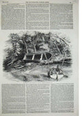 Antique Old Print *0263 1852 Remains Captain Gardiner Pioneer Sleeping Boat