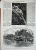 Old Antique Print 1866 Galago Maholl Zoological Cheltenham Life-Boat Art 19th