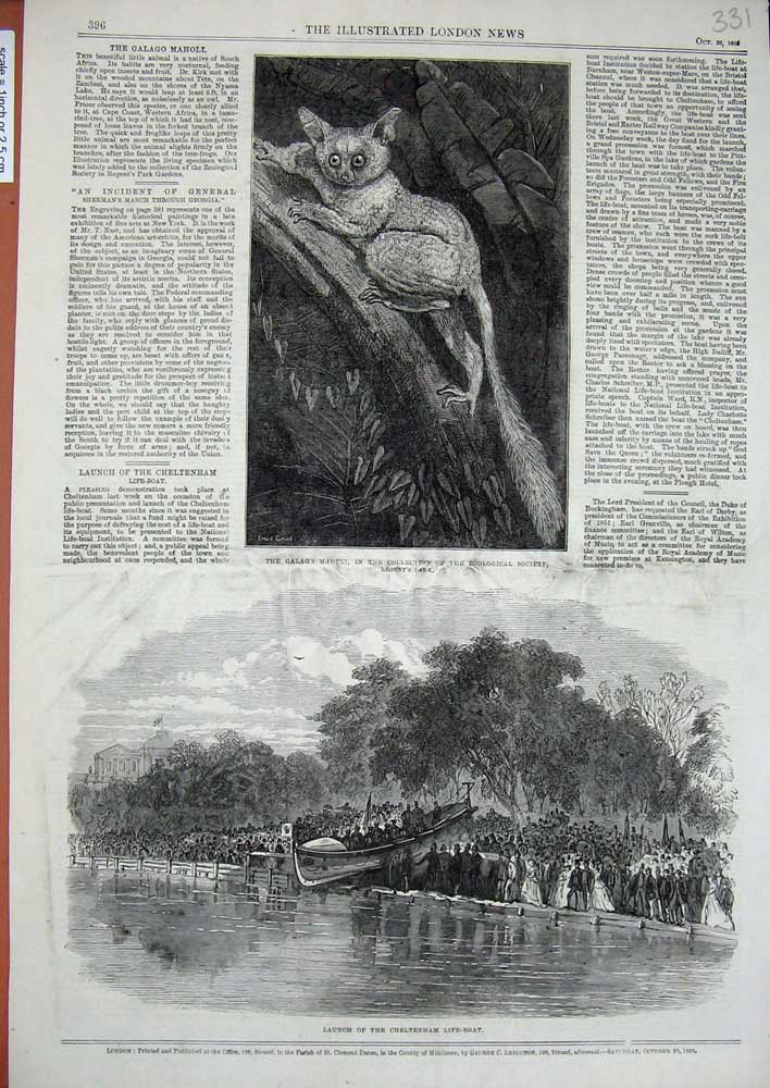 Old Antique Print 1866 Galago Maholl Zoological Cheltenham Life-Boat Art 19th