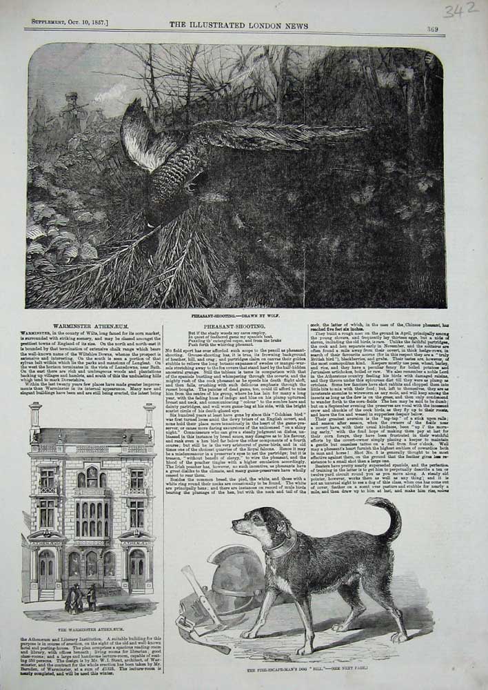 Old Antique Print Warminster Athenaeum Dog Fire-Man 1857 Pheasant Shoot 19th