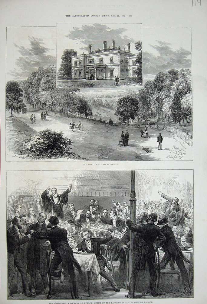 Original Old Antique Print 1875 Royal Sheffield O'Connell Dublin Banquet Palace