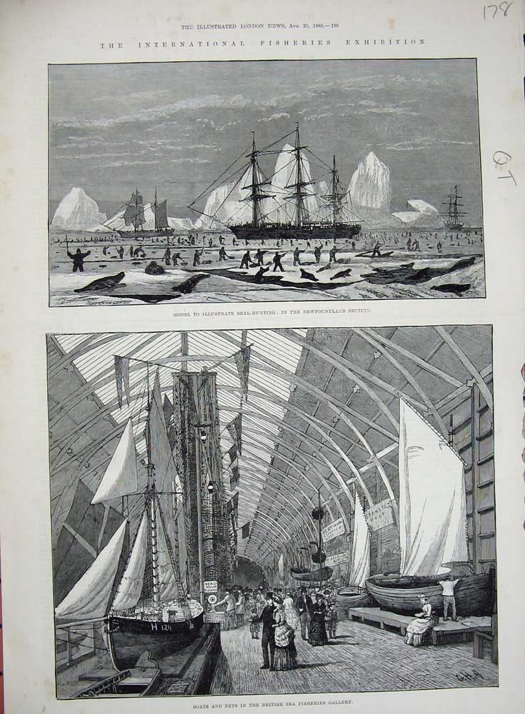 Original Old Antique Print 1883 Boats Nets Fisheries Gallery Ships Seal Hunting