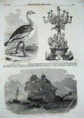 Old Antique Print 1856 Ships Collision Mangerton Willis Bustard Lawrence 19th