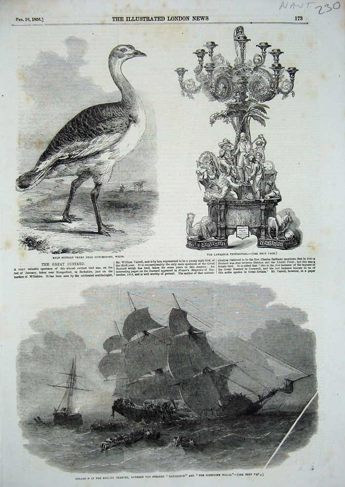Old Antique Print 1856 Ships Collision Mangerton Willis Bustard Lawrence 19th