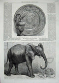 Original Old Antique Print 1865 Elephant Zoological Wimbledon Rifle Prize Plate