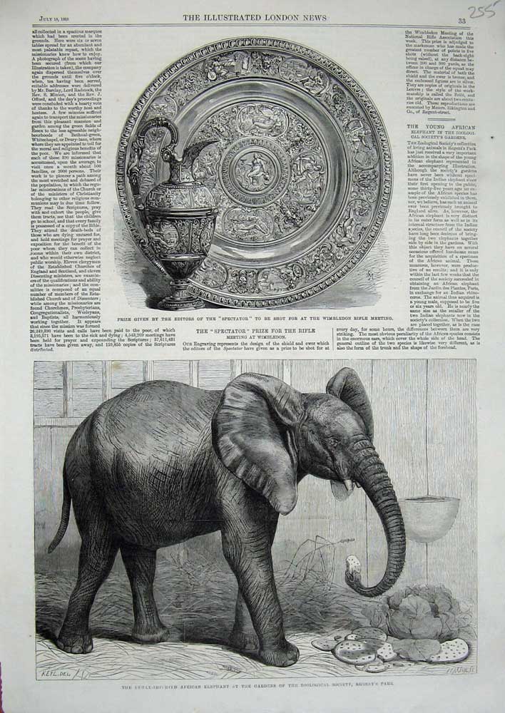Original Old Antique Print 1865 Elephant Zoological Wimbledon Rifle Prize Plate
