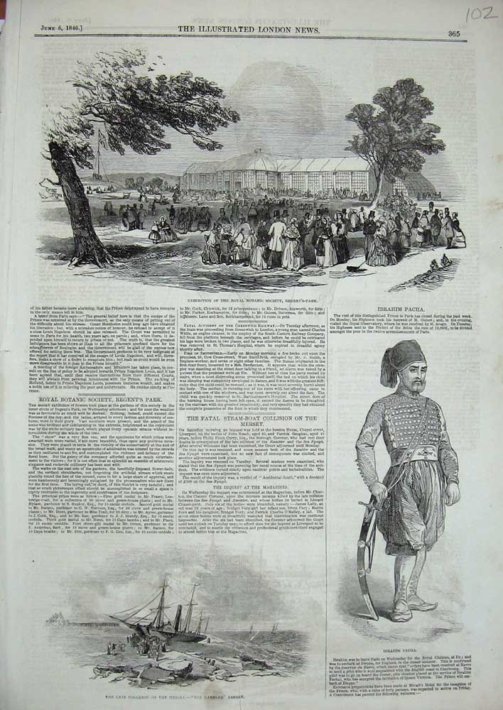 Old Antique Print 1846 Royal Botanic Society Regent'S Ship Rambler Pacha 19th