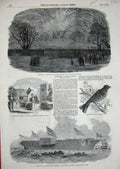 Original Old Antique Print 1850 Steam Ship Leopard Gatesby Ashby Ortolan Asylum