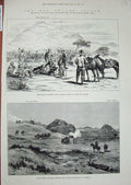 Original Old Antique Print Soudan War 1885 Fight Hasheen Souakim Shelling Siers