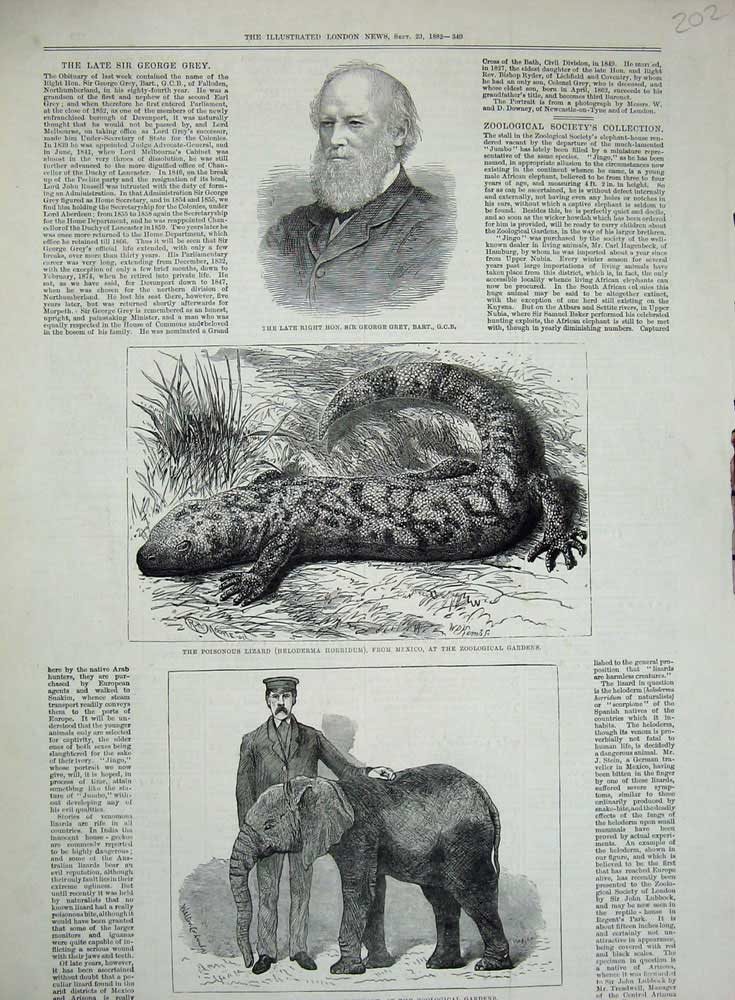 Old Antique Print 1882 George Grey Lizard Mexico Jingo Elephant Animals 19th