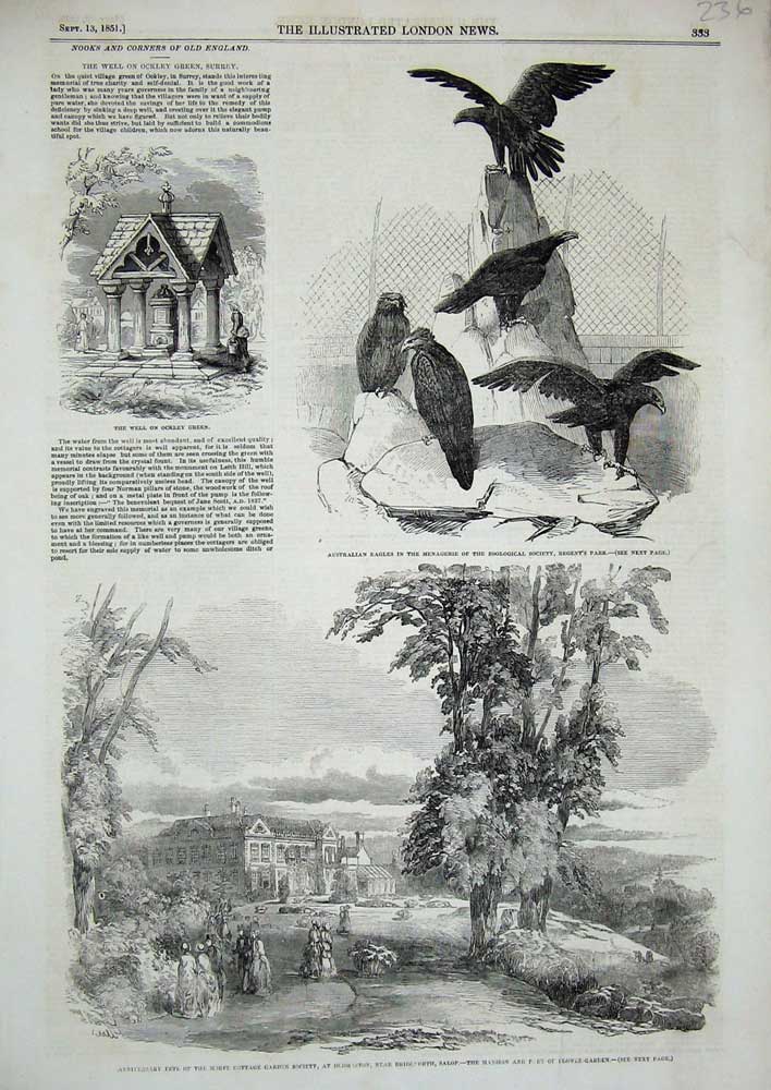 Old Antique Print 1851Dudmaston Cottage Garden Eagles Birds Ockley Green 19th