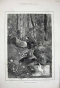 Original Old Antique Print Montbard April 1880 Stream Trees Country Rocks 19th