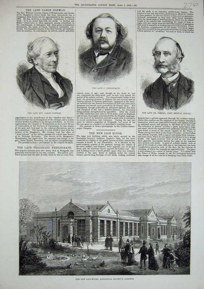 Original Old Antique Print 1876 Lion House Zoological Gardens Parkes Dr. Conway