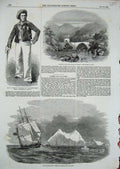Old Antique Print 1853 Marlborough Ship Iceberg Cape Horn Cook Duke Lucca 19th