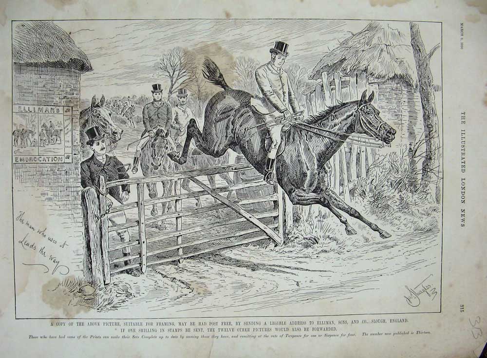 Original Old Antique Print 1880 Advertisment Ellimans Embrocation Horse Jumping