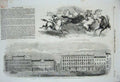Original Old Antique Print 1851 Mosley Street Manchester Wild Prairie Horses