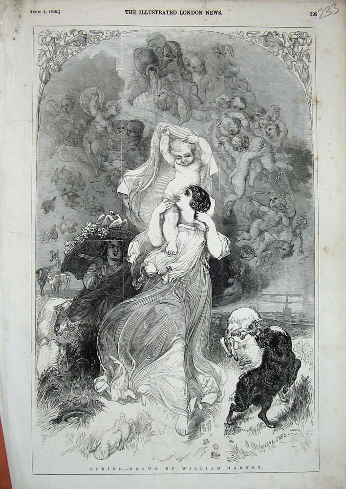Original Old Antique Print 1846 William Harvey Spring Goats Mother Baby Animals