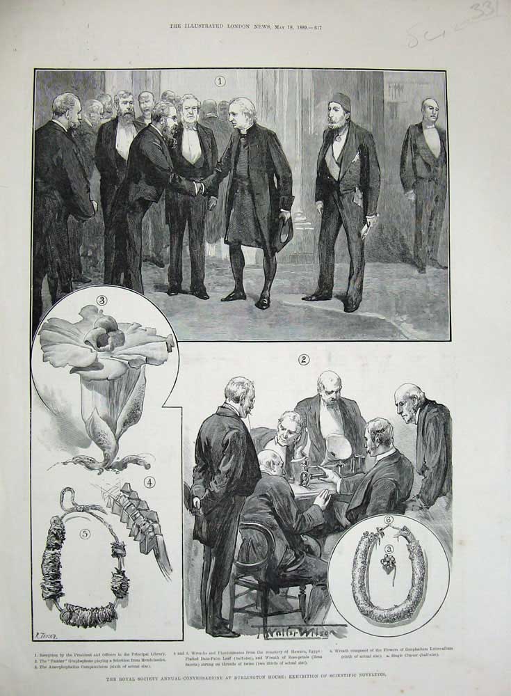 Old Antique Print 1889 Burlington House Scientific Novelties Society Men 19th