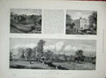 Original Old Antique Print 1891 Prince Wales Rotherham Clifton Park House Trees