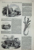 Old Antique Print Stone Coffins Bath 1854 Halsey Somerset Chantry Norton 19th