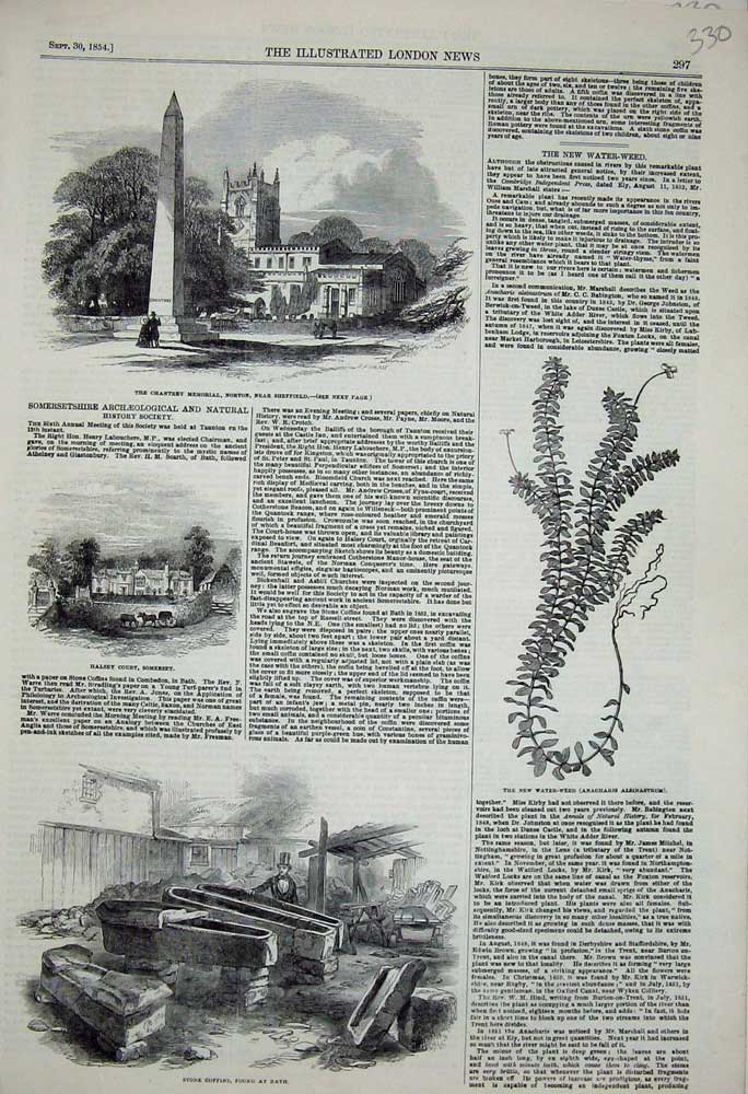Old Antique Print Stone Coffins Bath 1854 Halsey Somerset Chantry Norton 19th