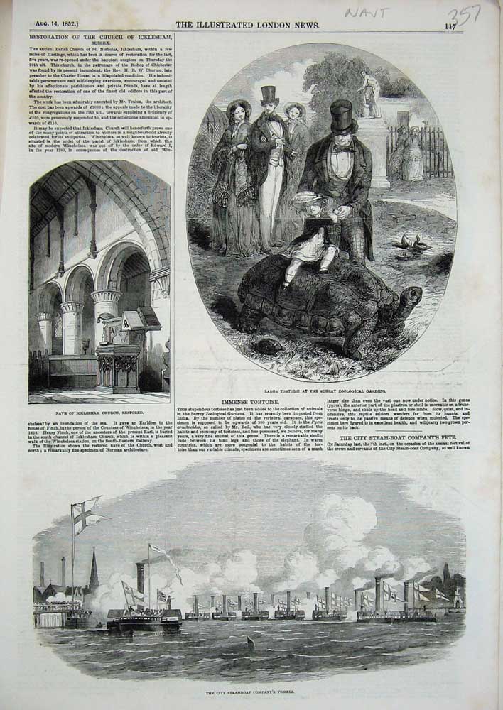 Old Antique Print 1852 Nave Icklesham Church Tortoise Surrey Ship Steam 19th