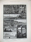 Original Old Antique Print 1884 London Lawn Tennis Cricket Kensington Woods Art