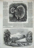 Original Old Antique Print 1858 Totteham Park Wiltshire Fungus Tunnel Doncaster