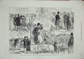 Antique Old Print *3515 1880 Prince Wales Norfolk Norwich Cattle Show Mustard