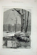 Original Old Antique Print 1880 January Scene Snow Ice Trees Birds Victorian