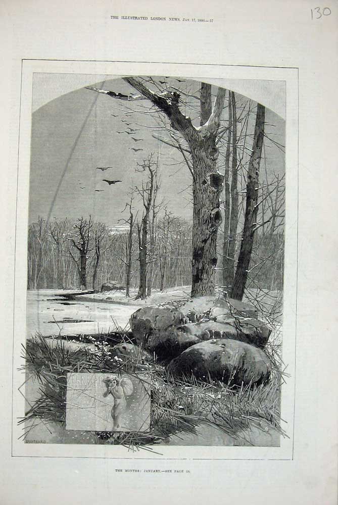 Original Old Antique Print 1880 January Scene Snow Ice Trees Birds Victorian