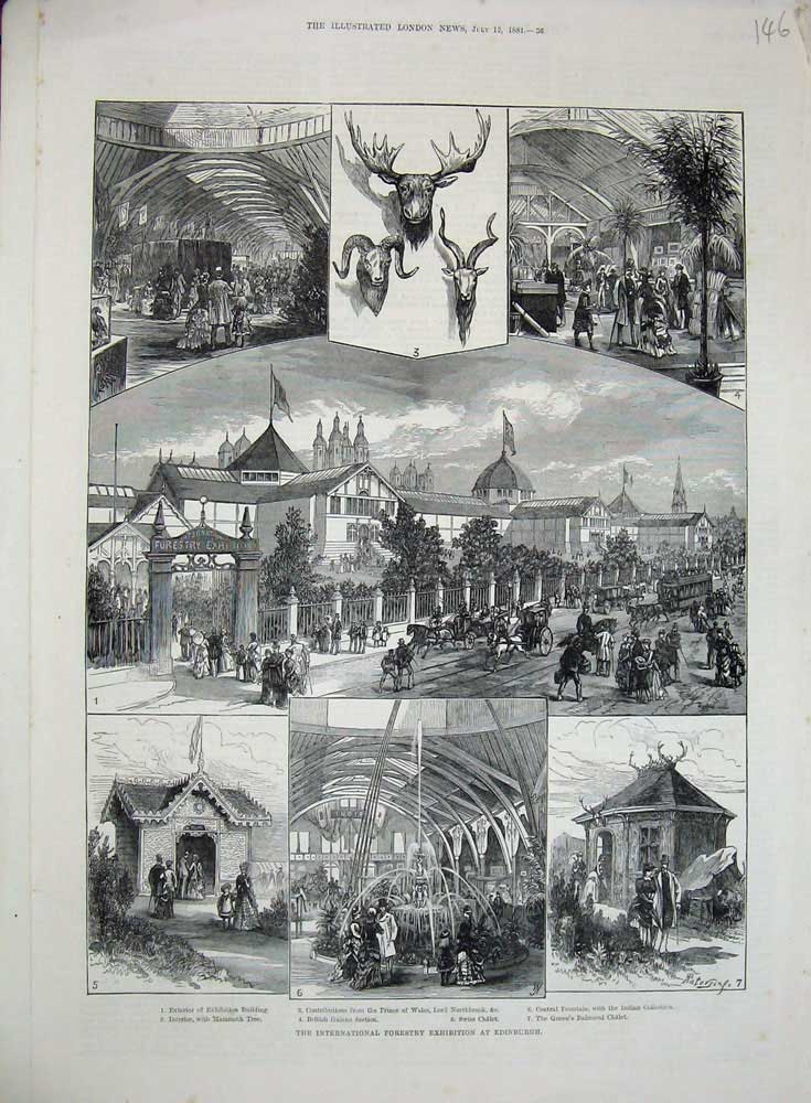Old Antique Print 1884 Forestry Exhibition Edinburgh Balmoral Chalet Tree 19th