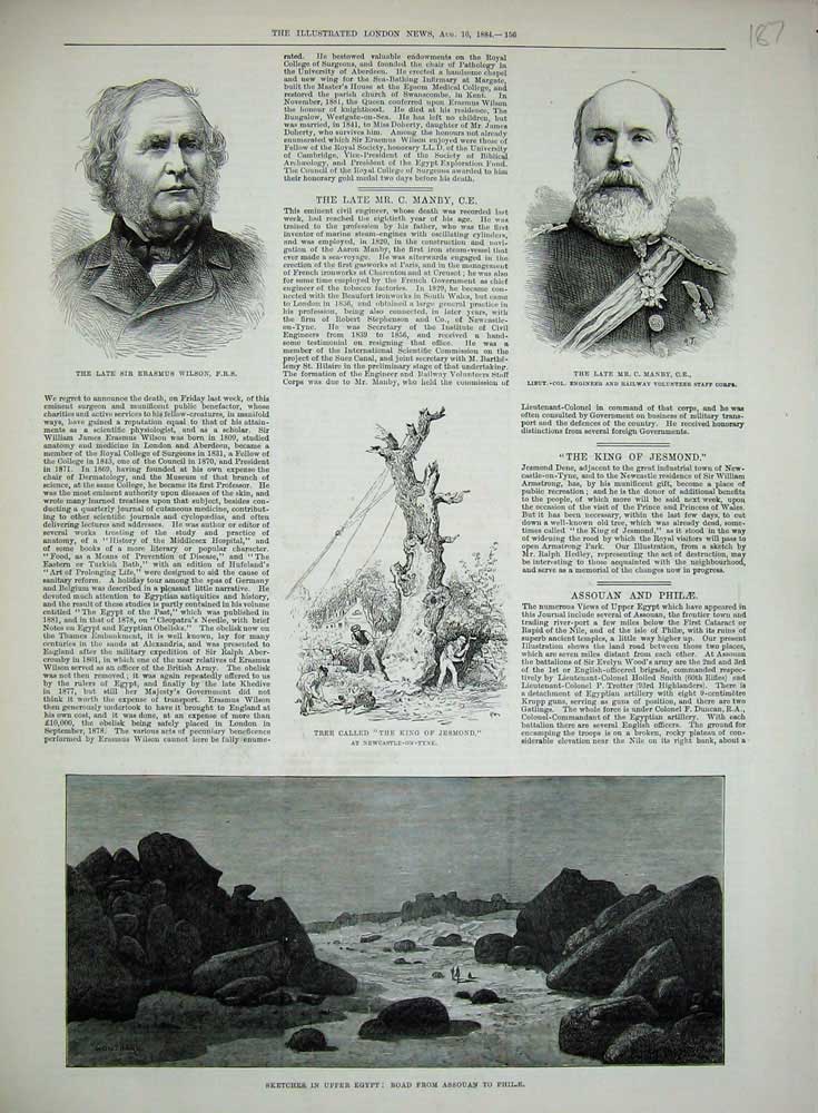 Old Antique Print 1884 Egypt Assouan Philae Tree King Jesmond Manby Sir 19th