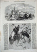 Old Antique Print 1862 Ashburton House Gosport Birds Paradise Zoological 19th