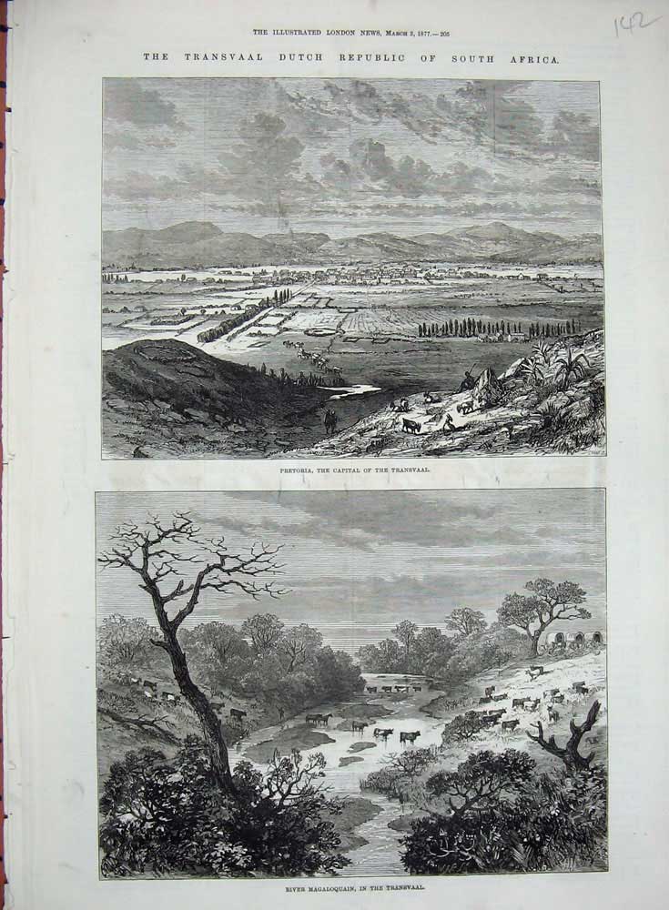 Old Antique Print 1877 Africa Pretoria Transvaal River Magaloquain Cows 19th