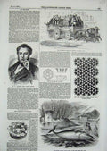 Original Old Antique Print 1856 Manchester Omnibus Broderip Rorqual Whale Dart